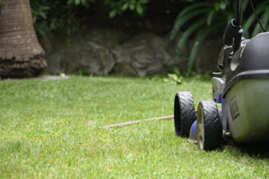 sydney lawn mowing